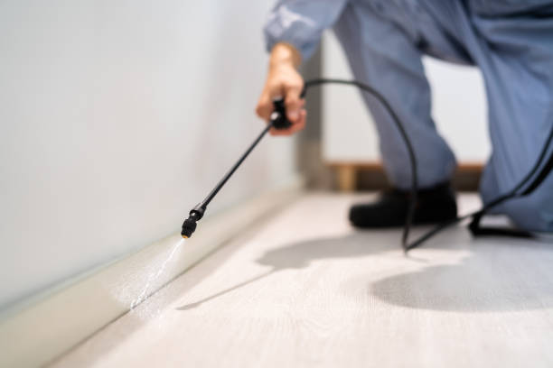 Licensed Pest Control service in Denver, CO - Show Me Pest Control